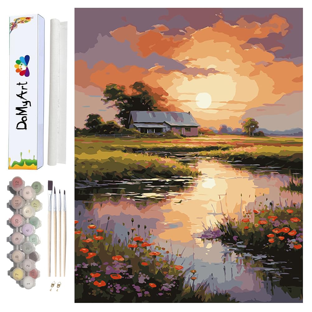 Amazon.com: DoMyArt Paint by Numbers Kit for Adults Beginners, DIY
